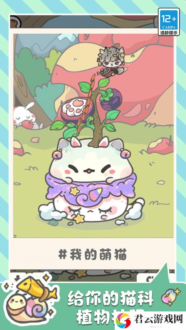 萌猫奇妙世界