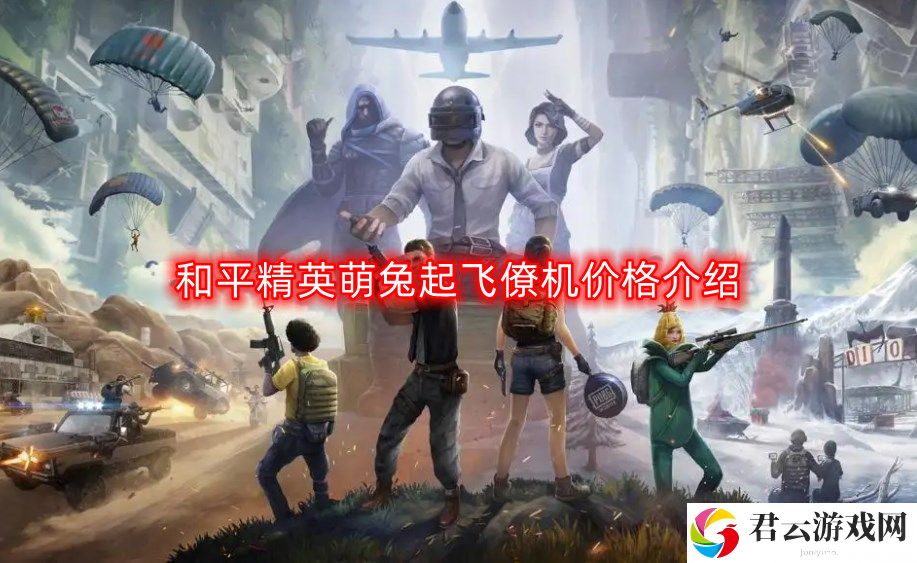 和平精英萌兔起飞僚机多少钱