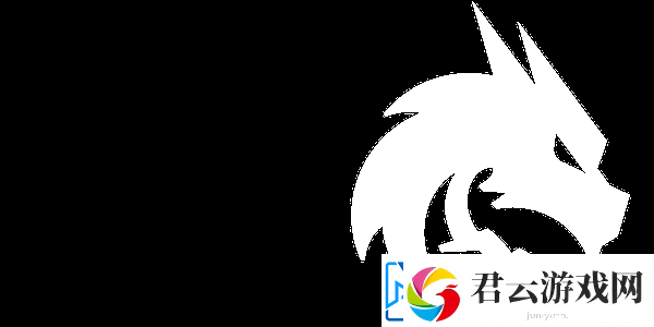 Spirit队员总结2024：个人成绩不可思议