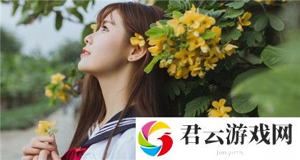 麻花豆传媒剧国产MV的发展前景：未来发展机遇与挑战