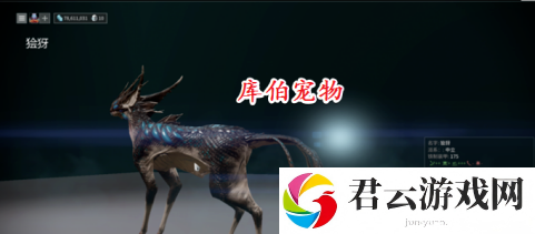 星际战甲宠物怎么得