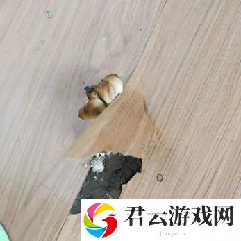 洞被弄大了过几天能变小吗，网友：这是一种心灵的回归
