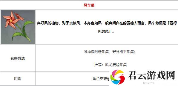 原神风车菊怎么获取