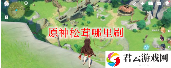 原神松茸哪里刷