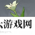 原神塞西莉亚花有什么用
