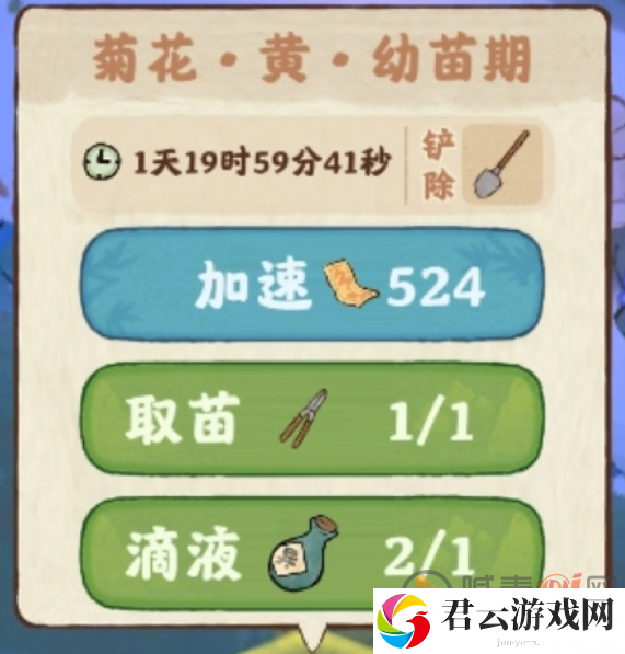 桃源深处有人家菊花紫色怎么配 桃源深处有人家菊花育种配方