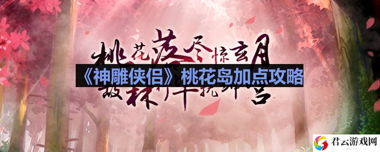 神雕侠侣桃花岛怎么加点