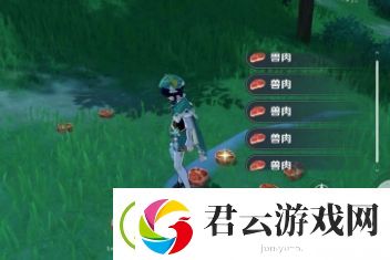 原神兽肉速刷点推荐