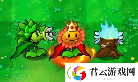 怪物猎人护锁刃龙与锁刃龙详细攻略图解：深入解析每个细节-助你轻松击败敌人！