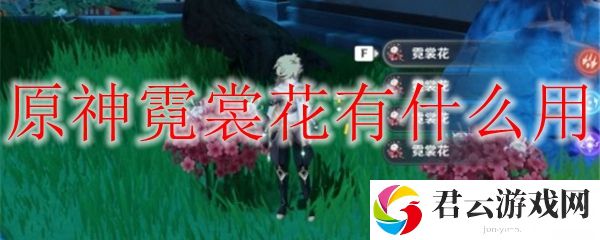 原神霓裳花的作用