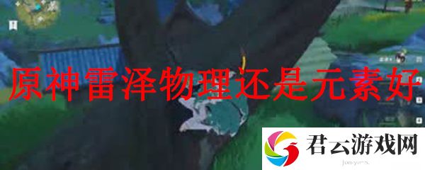 原神雷泽物理还是元素好
