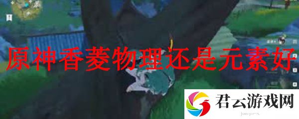 原神香菱物理还是元素好