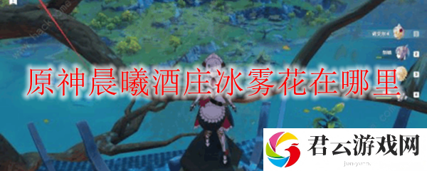 原神晨曦酒庄冰雾花刷新位置