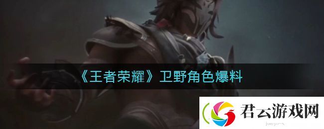 王者荣耀卫野是谁-卫野角色爆料