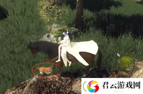 逆水寒手游捉猫记奇遇怎么过-逆水寒手游捉猫记奇遇攻略