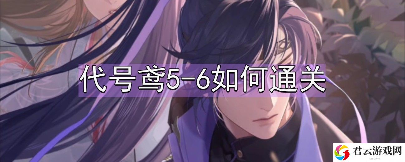 代号鸢5