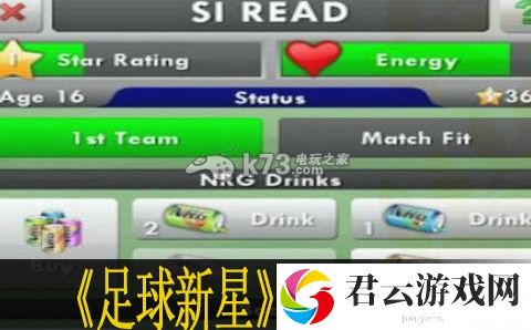 足球新星实用技巧分享：游戏中的交易行操作技巧