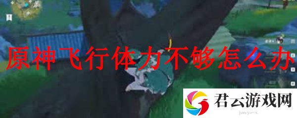 原神体力不够的解决方法
