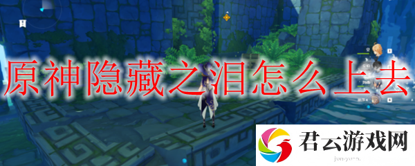 原神隐藏之泪上去方法