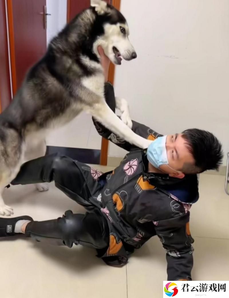 重温经典！《人狗大战2高清正版免费》带你体验惊心动魄的冒险之旅