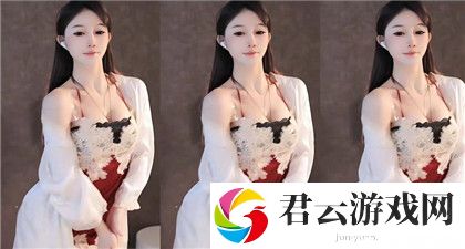 dnf宠物胶囊：揭秘宠物系统的多样选择