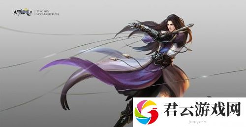 天涯明月刀手游唐门攻略2020