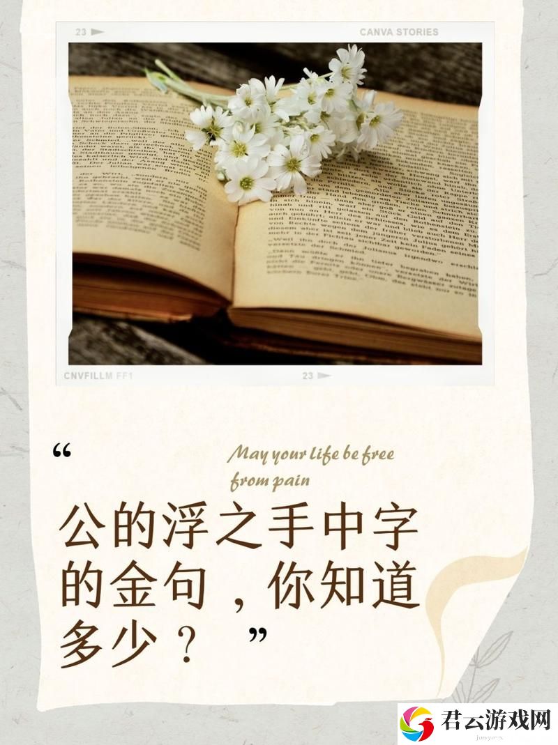 探寻“公的浮之手中字”：艺术与人性的交汇
