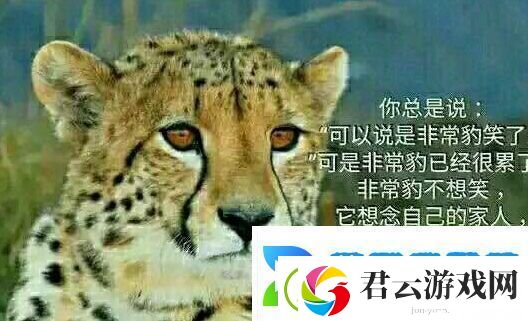 你不知道你不在乎你只关心你自己是什么梗网络用语-你不知道你不在乎你只关心你自己梗意思及出处分享