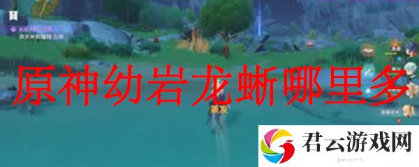 原神幼岩龙蜥哪里多