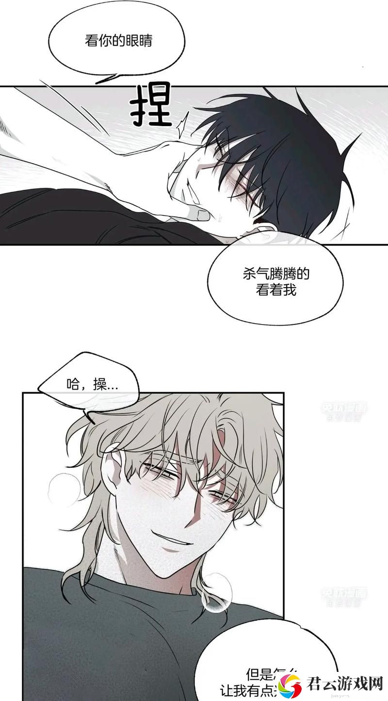 双男主酿酿酱酱漫画免费，探索情感与友情的交织之旅