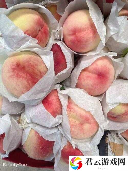水蜜桃亚洲精品:探索亚洲独特风味与精致工艺的完美结合