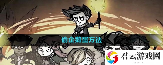 饥荒新家园偷企鹅蛋方法：装备幻化系统玩法与技巧猫扑攻略