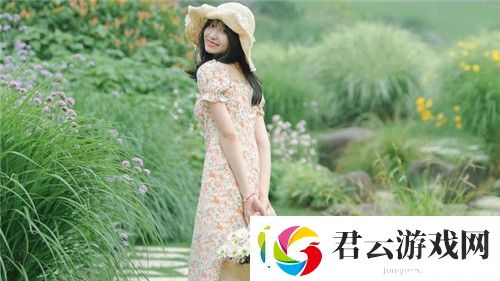 9731芳草地：剪不断的枫叶情愫诺布攻略