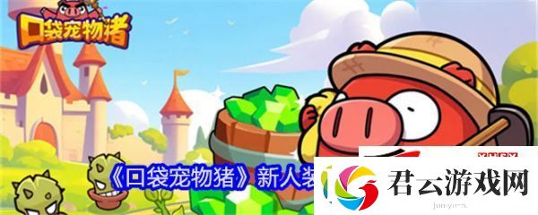 口袋宠物猪新人装备选择攻略：口袋宠物猪新人装备怎么选诺布攻略
