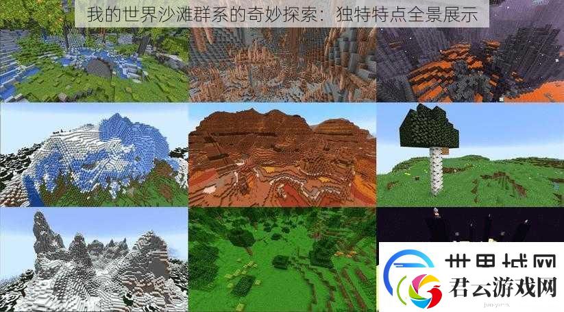 我的世界沙滩群系的奇妙探索：独特特点全景展示