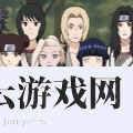 忍者后宫成人版