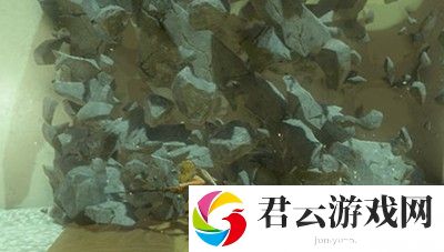 《塞尔达传说王国之泪》怎么获得祝福之光