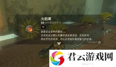 《塞尔达传说王国之泪》怎么获得祝福之光