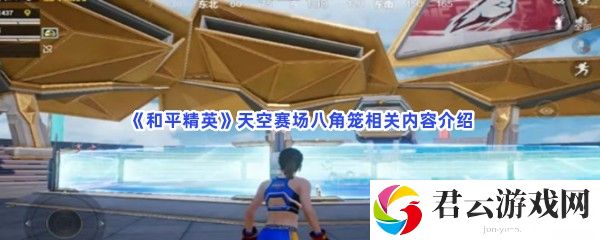 和平精英天空赛场八角笼相关内容介绍猫扑攻略