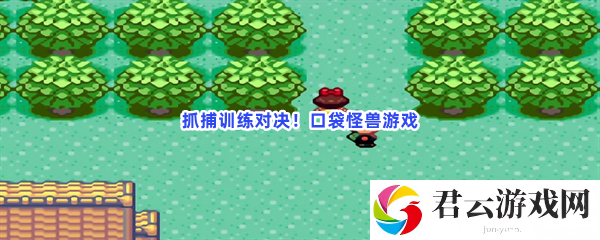 抓捕训练对决！口袋怪兽游戏猫扑攻略