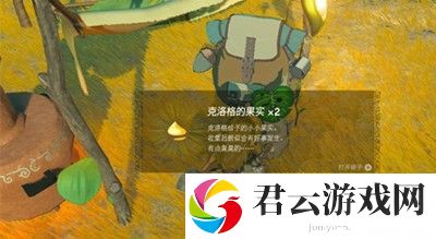 《塞尔达传说王国之泪》怎么完成救克洛格任务