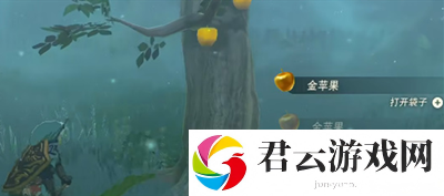 《塞尔达传说王国之泪》怎么通过普普恩凯神庙通过方法
