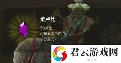 《塞尔达传说王国之泪》怎么完成咕咕鸡的路标任务