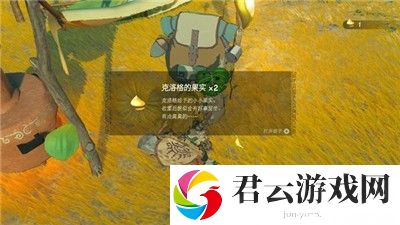 《塞尔达传说王国之泪》怎么获得克洛格果实