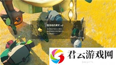 《塞尔达传说王国之泪》怎么获得克洛格果实