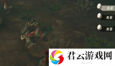 《塞尔达传说王国之泪》怎么完成咕咕鸡的路标任务