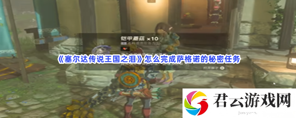 塞尔达传说王国之泪怎么完成萨格诺的秘密任务猫扑攻略