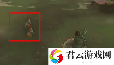 《塞尔达传说王国之泪》怎么完成咕咕鸡的路标任务