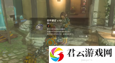 《塞尔达传说王国之泪》怎么完成萨格诺的秘密任务