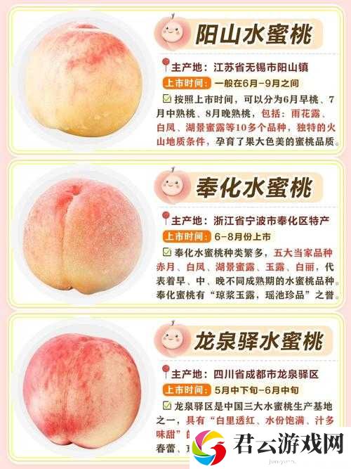 水蜜桃一品二品的独特魅力与品鉴之道
